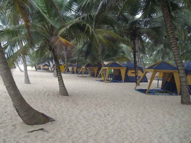 La Campagne Tropicana